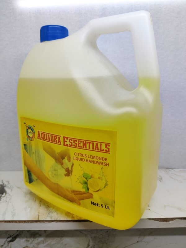 Citrus Lemonde Handwash (5L) - Image 2